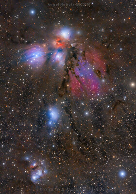 NGC2170-TommasoStellaWeb.jpg