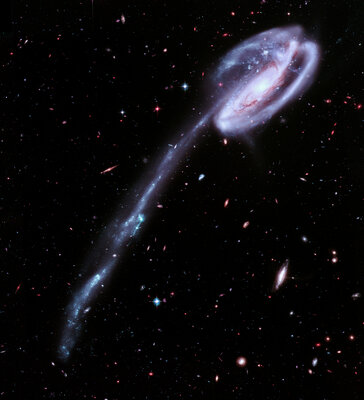 Hubble ARP188 Daniel Pasternak 2- Feb 2022.jpg