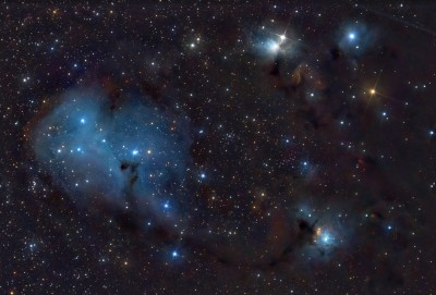 IC447_446GiorgioFerrari.jpg