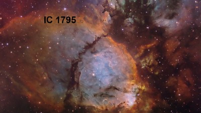IC1795NBWeb4_goldman.jpg