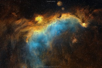 IC2177-SeagullNebulaTommasoStellaWEB.jpg