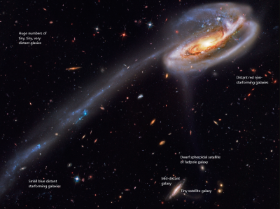 Tadpole galaxy with some annotation.png