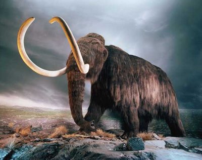 woolly-mammoth1.jpg