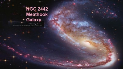 NGC2442_HstGendler_960.jpg