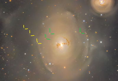NGC 1316 Globular Clusters?