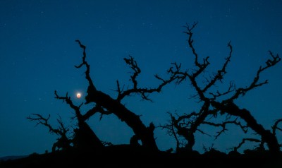 Lunareclipse_PinnaclesNationalPark1024.jpg