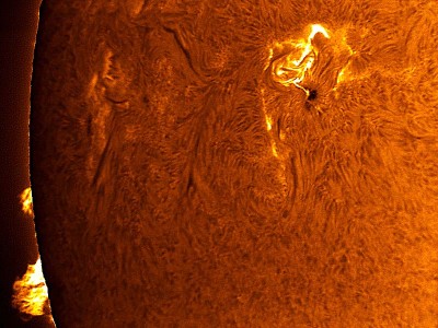 sunspot0875_piepol.jpg