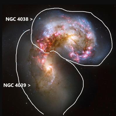 NGC 4038 NGC 4039 annotated Hubble.png