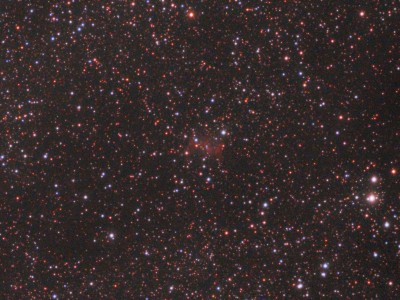 TMB 92 SS QSI 583 WS - Crop Image