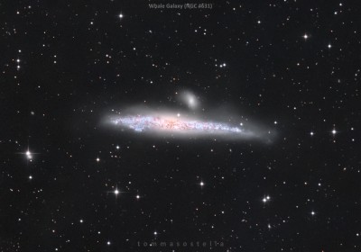 NGC4631-TommasoStellaWEB.jpg