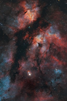 gamma-cygni-nebula-and-sadr1024.jpg