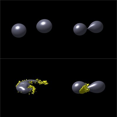 Fig. 2: Various stages of the merger of two neutron stars; the sequence <br />of images covers a period of about one hundredths of a second. Once <br />the stars collide material is squeezed out between the stars and gets <br />stripped off from tidal tails. In the material ejected a multitude of <br />nuclear reactions take place producing heavy elements.