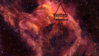NGC3572SouthernTadpolesCarlosTaylor1024.jpg