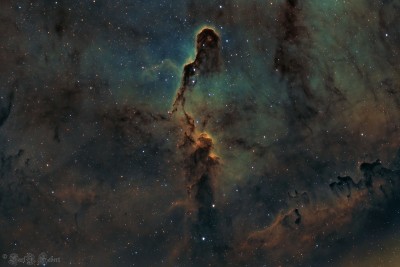 IC1396 Signed reduced.jpg