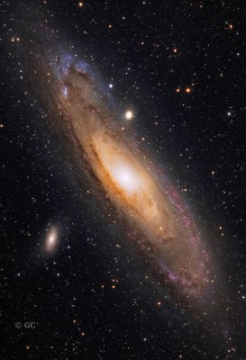 M31