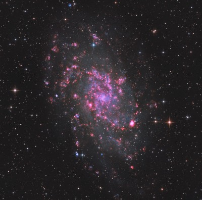 M33 Triangulum 2600 8 newt 1 small.jpg