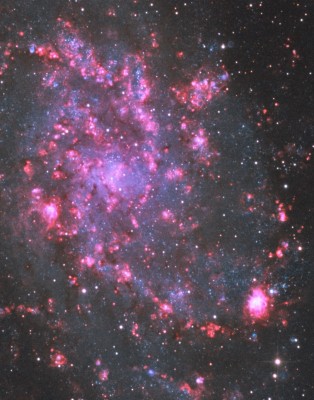 M33 crop.jpg