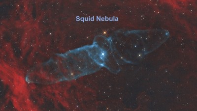 SquidFinal3smaller1024.jpg