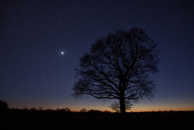 Venus-am-Abendhimmel-April-19-2020-Tungendorf-Marco-Ludwig-res2400[1].jpg