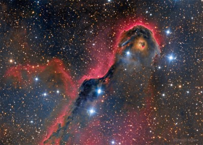 IC1396_Miller_960.jpg