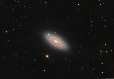 NGC2841_1024.jpg
