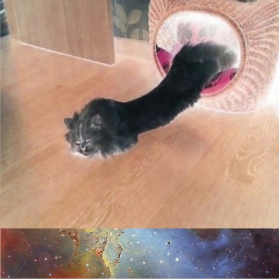 Eagle Nebula Deep Field cat.jpg