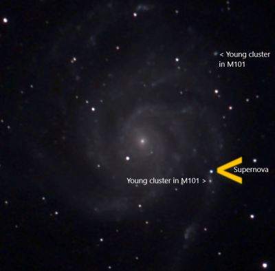 SN 2023ixf in M101 Kheider annotated.png
