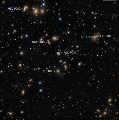 The Hercules Cluster of Galaxies annotated Rafael Bustamente.png