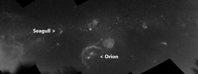 Orion and Seagull in Hα black and white mandarpotdar.png