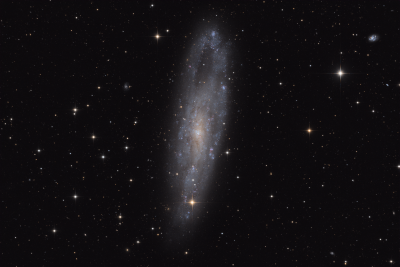 NGC247_web.png