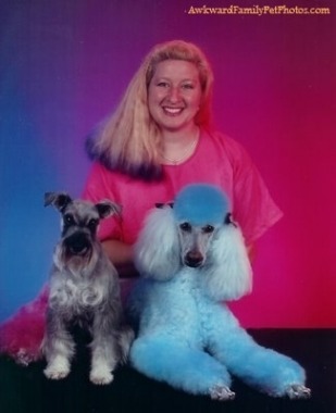 dogs-dyed-fur-awkward-pet-photos.jpg