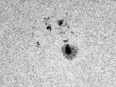 High Resolution image of sunspot group 1433