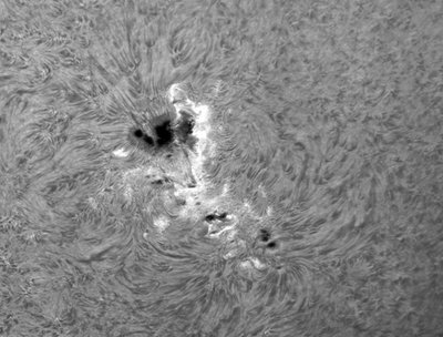 Sunspot Group 1476