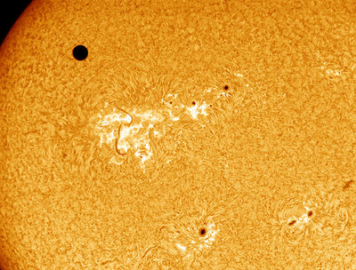 Venus Transit in H-Alpha light