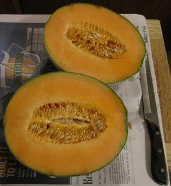 cantaloupes 003.jpg