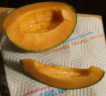 cantaloupes 004.jpg