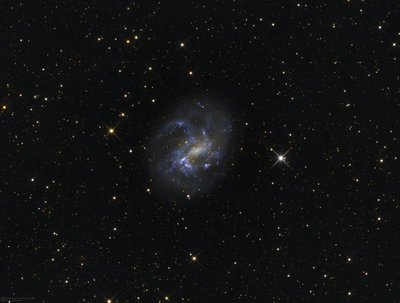 NGC4395.jpg